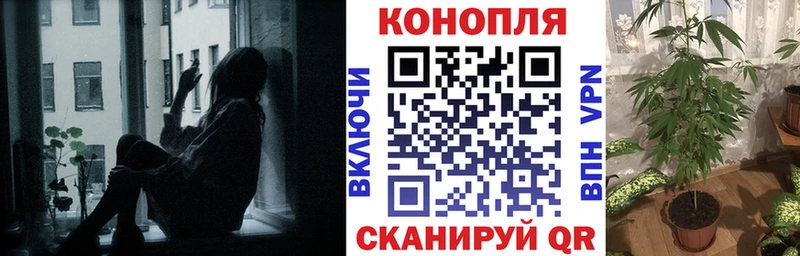 Купить закладки  Красноармейск  Канабис VHQ 